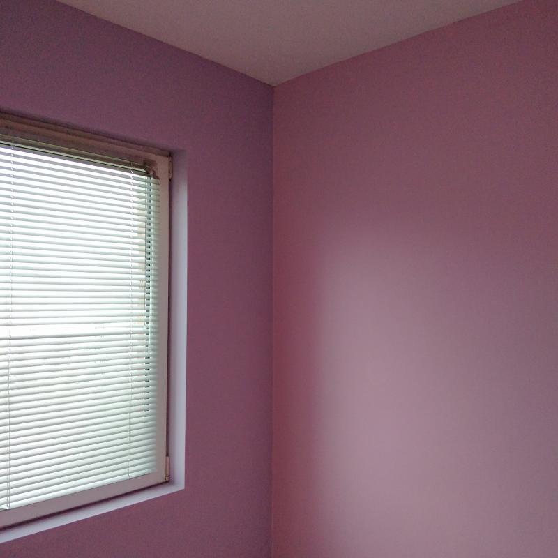 ремонт цялостна шпакловка и боя Кюстендил 2020