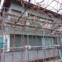 Саниране Пиперков чифлик Кюстендилско 2020