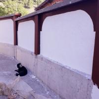 дувар с. Ломница 2019